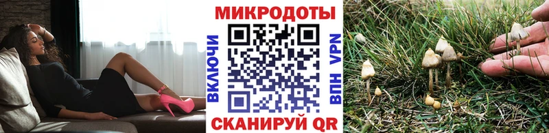Псилоцибиновые грибы прущие грибы  Дубовка 